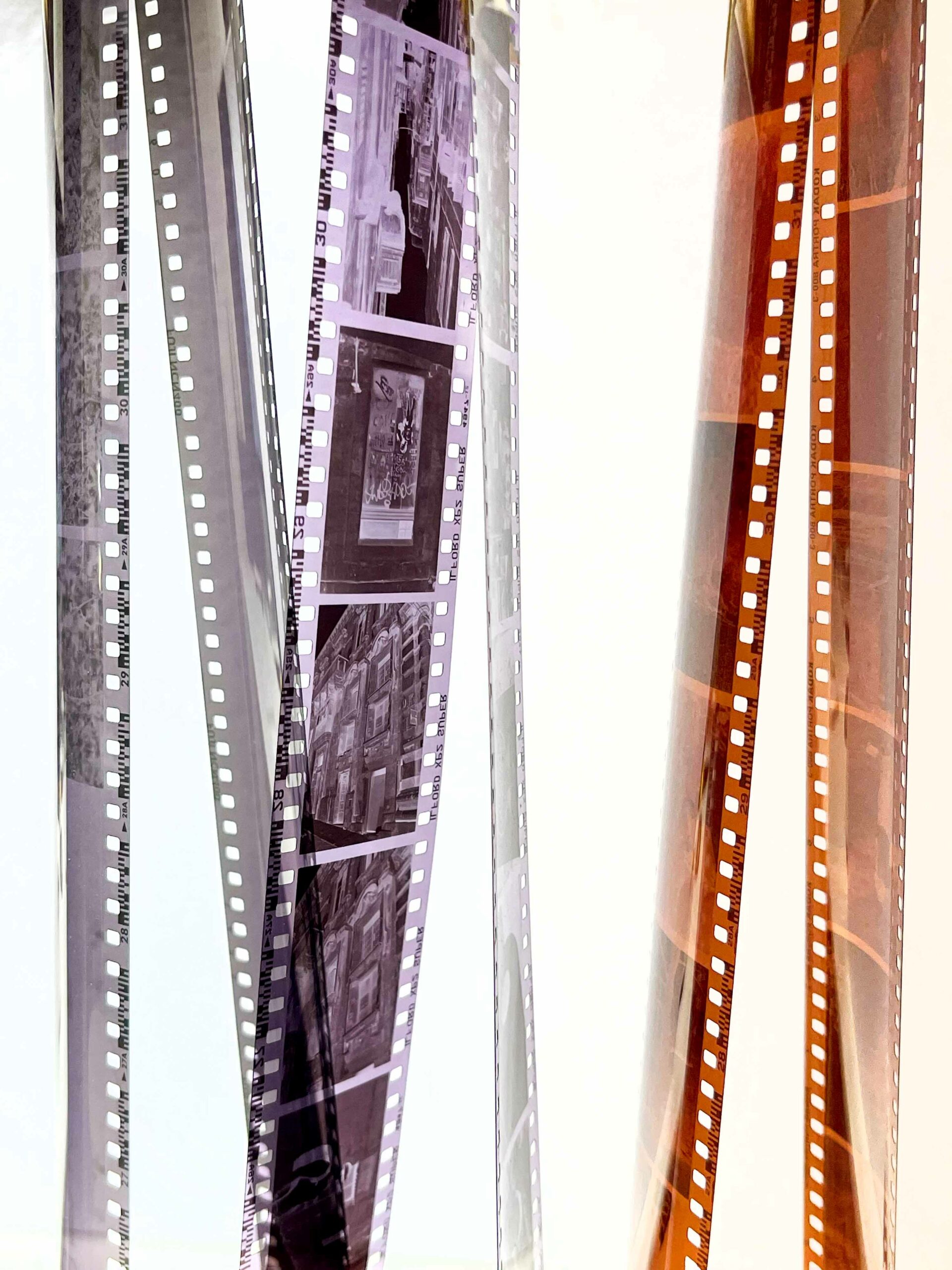 Cvs Film Processing Price - m3d5v90